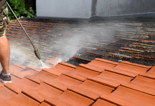 Trusted Ponderosa Pine, NM Pressure Washing Experts